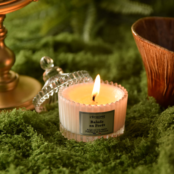 Bougie Balade en forêt