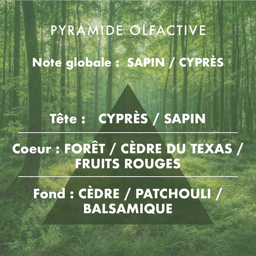 Bougie Balade en forêt